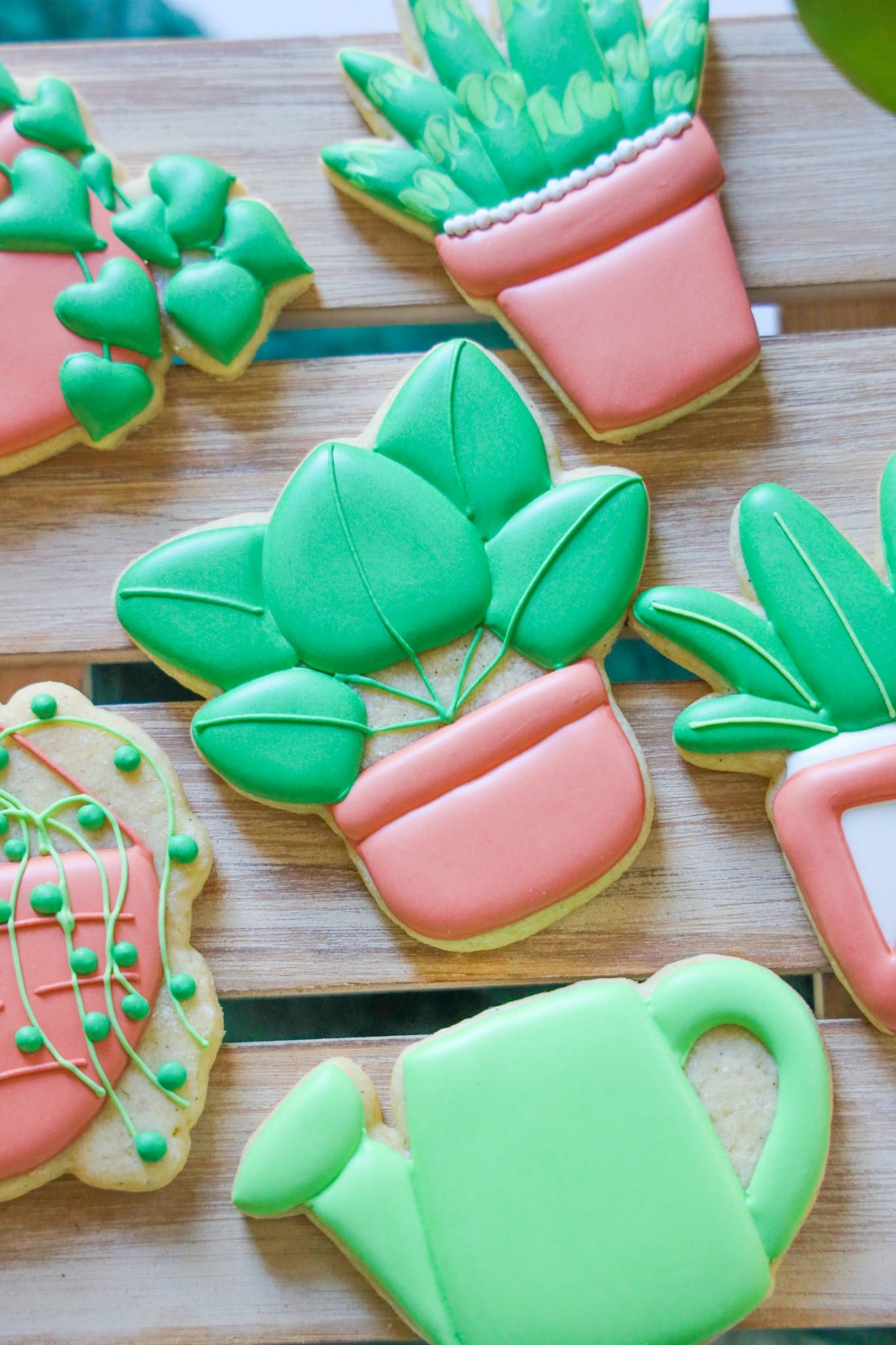 Cookie Classes