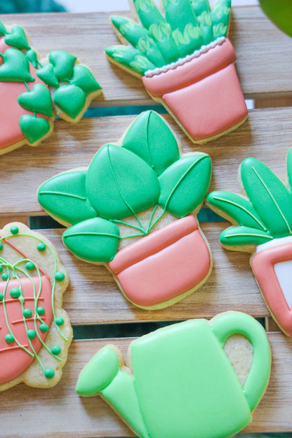 Cookie Classes