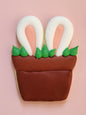 Bunny Flowerpot