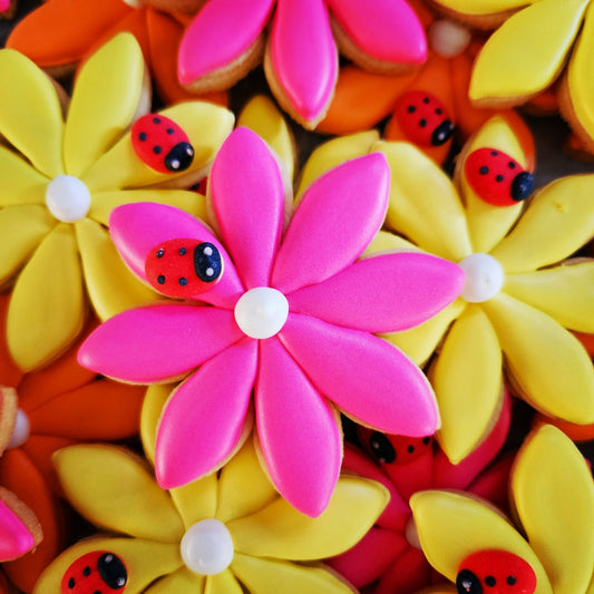 Daisy Flower