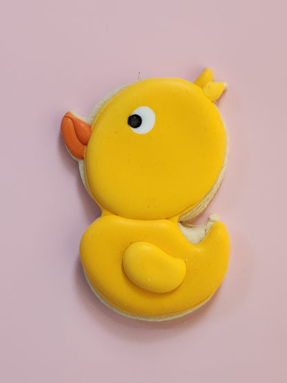 Ducks