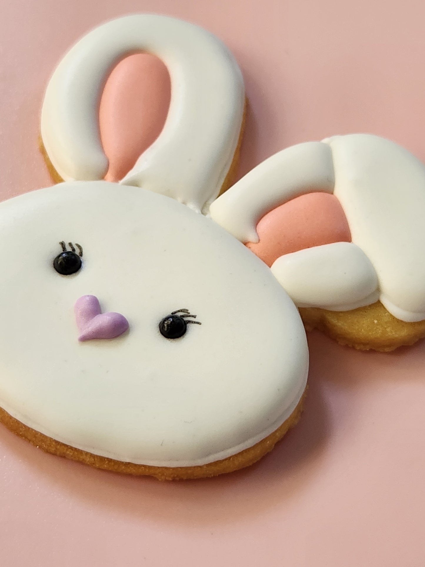 Floppy Ear Bunny